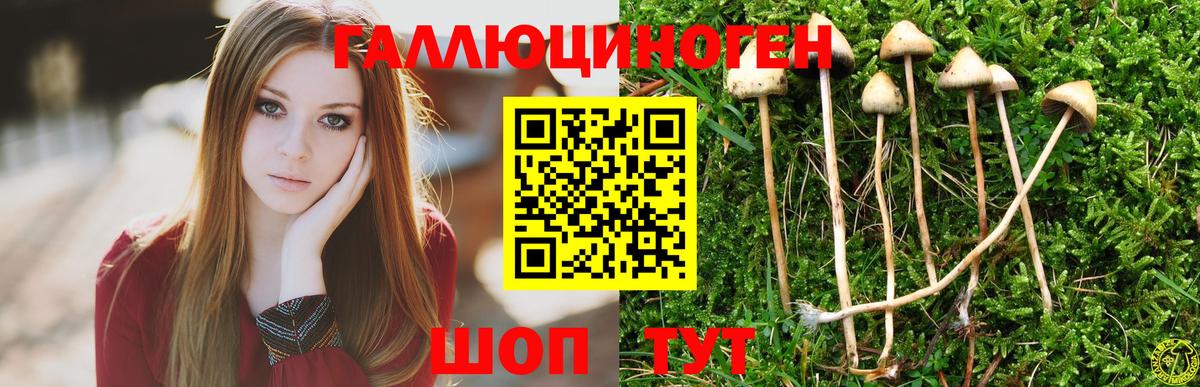 Псилоцибиновые грибы ЛСД Ржев