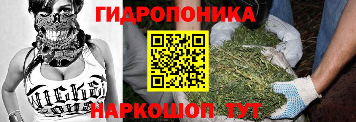 Конопля гибрид Ржев